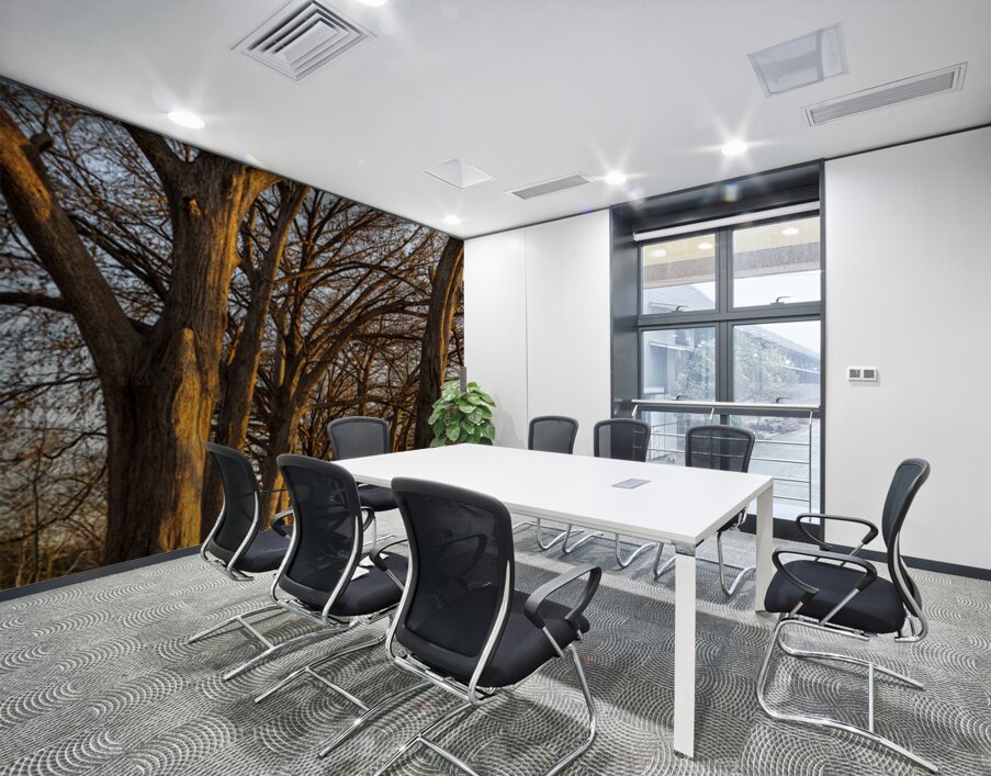 Large cypress trees in Cypress Bend Park by the side of Guadalup Wall Printing