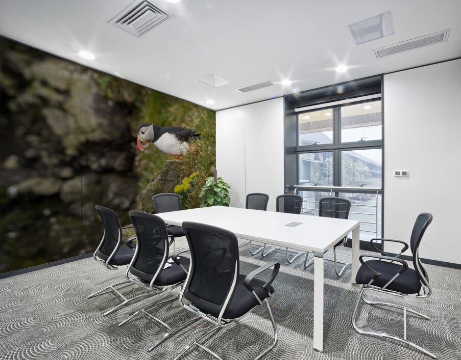 Single puffin on the cliffs in the Skalanes Nature and Heritage  Wall Printing