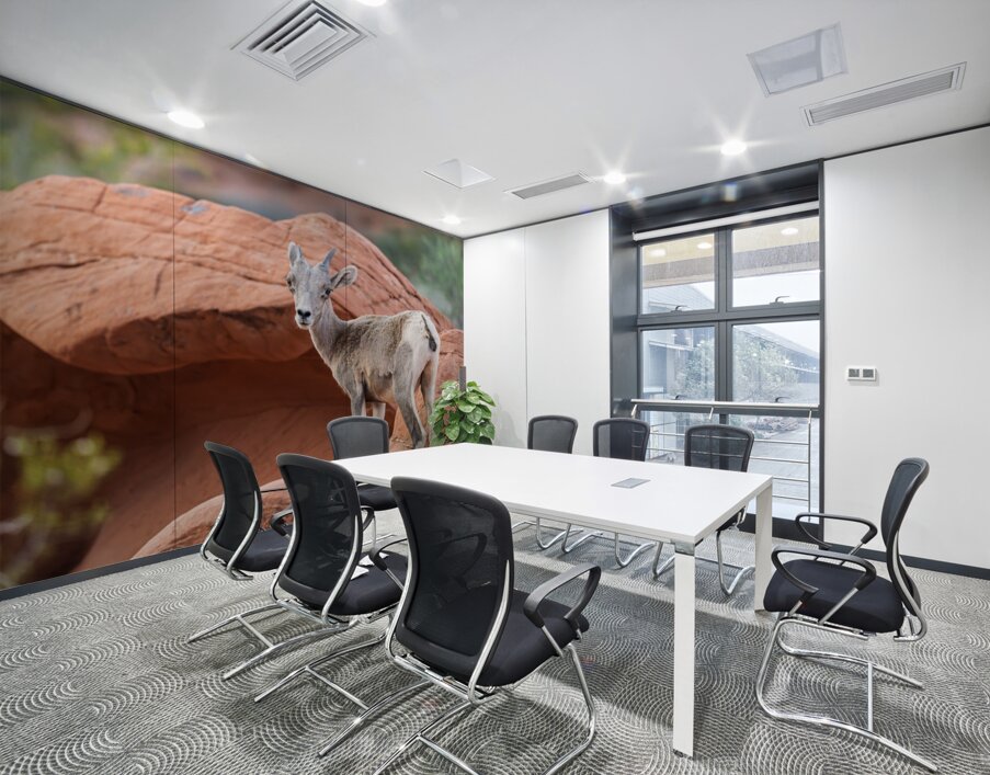 Bighorn sheep lamb grazing among formations in Valley of Fire st Wall Printing