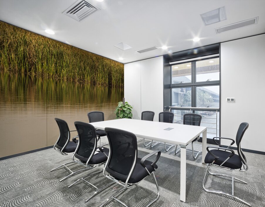 The still water reflects the reeds and their golden reflections  Wall Printing