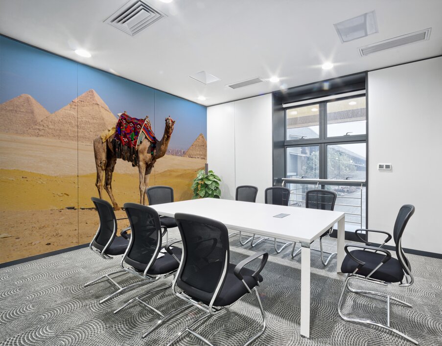 Single camel standing in front of Great Pyramid of Giza waiting  Wall Printing