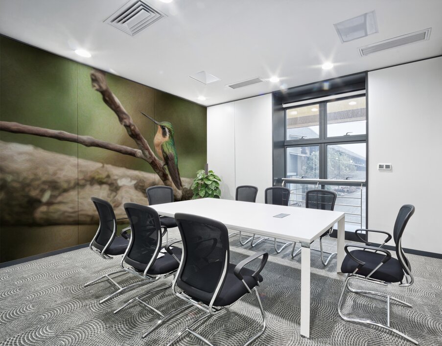 White throated mountaingem hummingbird perched on a twig  in Cos Wall Printing