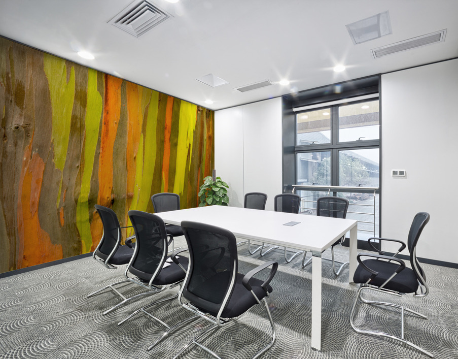 Detail of bark of Rainbow Eucalyptus tree Wall Printing