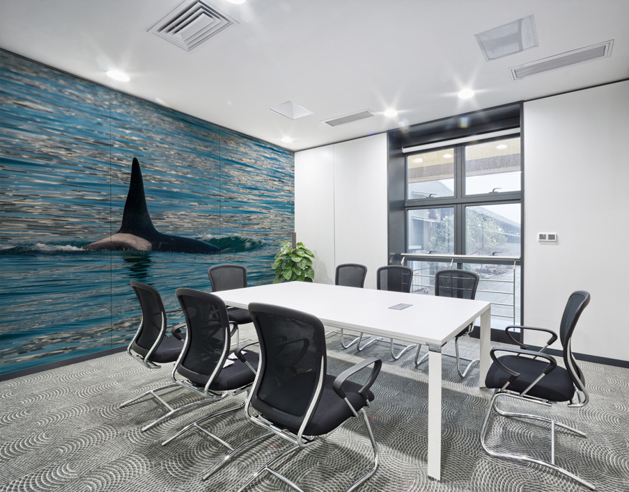 Fin of orca whale cutting through Resurrection Bay Seward Wall Printing