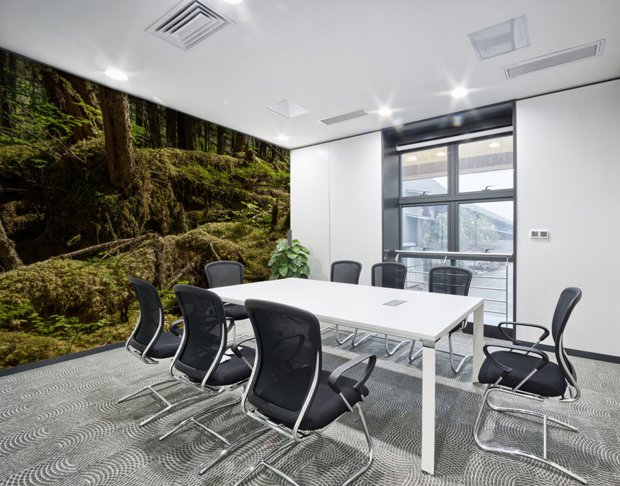 Dense vegetation in temperate rain forest in Alaska Wall Printing