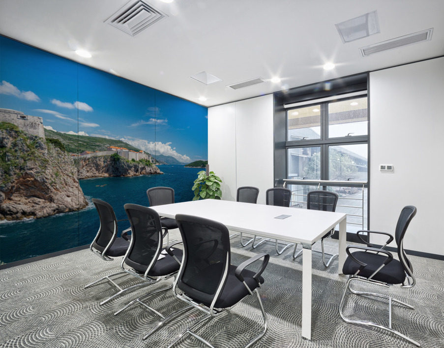 Fort Lawrence and city walls of the old town of Dubrovnik Wall Printing