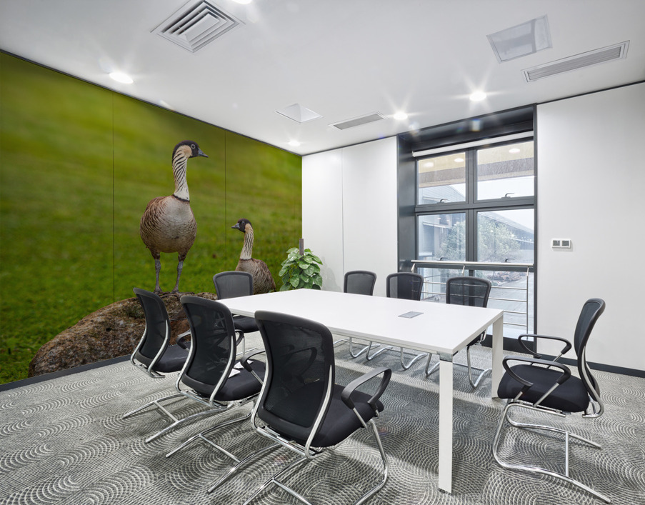 Pair of nene geese Wall Printing