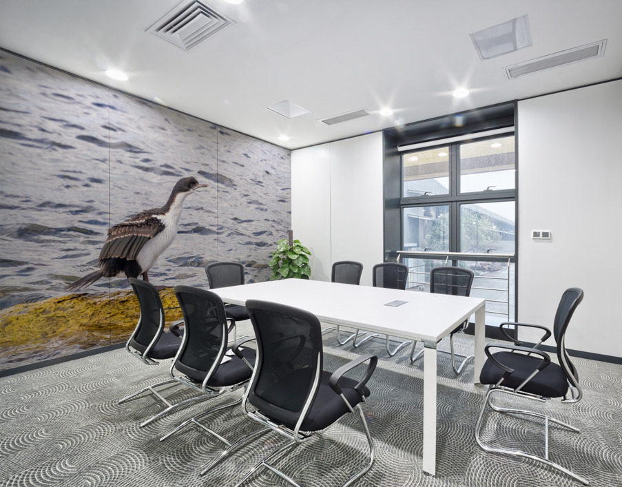Imperial Cormorant seabird on rock in Punta Arenas Chile Wall Printing