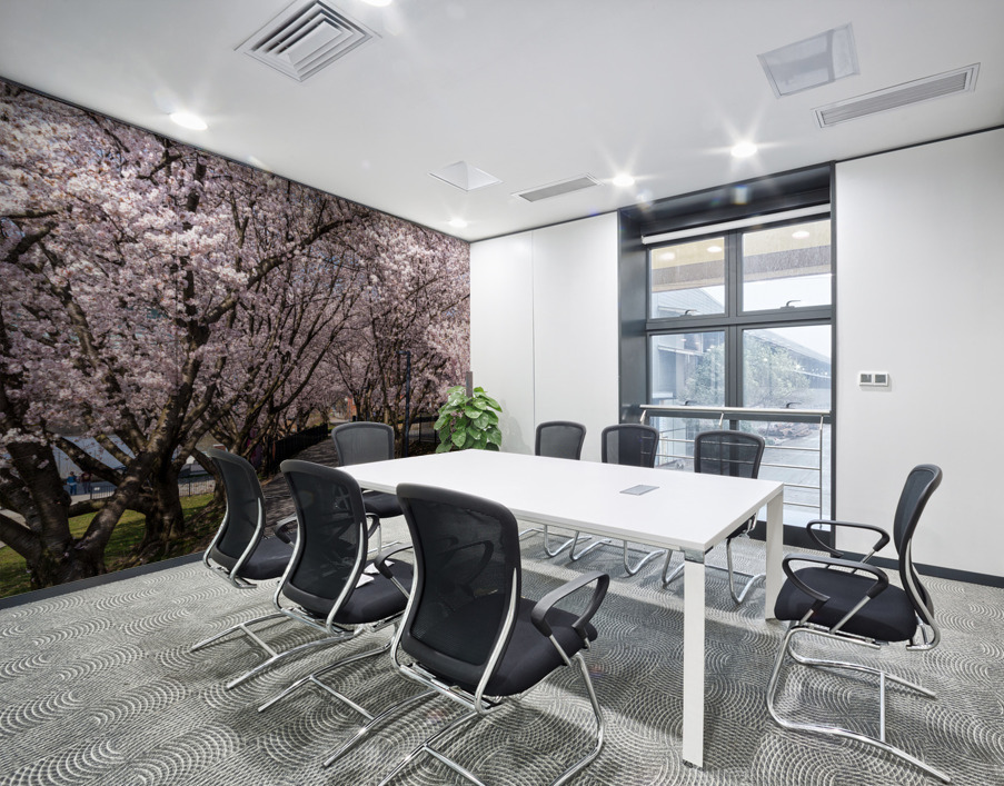 Cherry blossoms over walking trail  by the river in Morgantown W Wall Printing