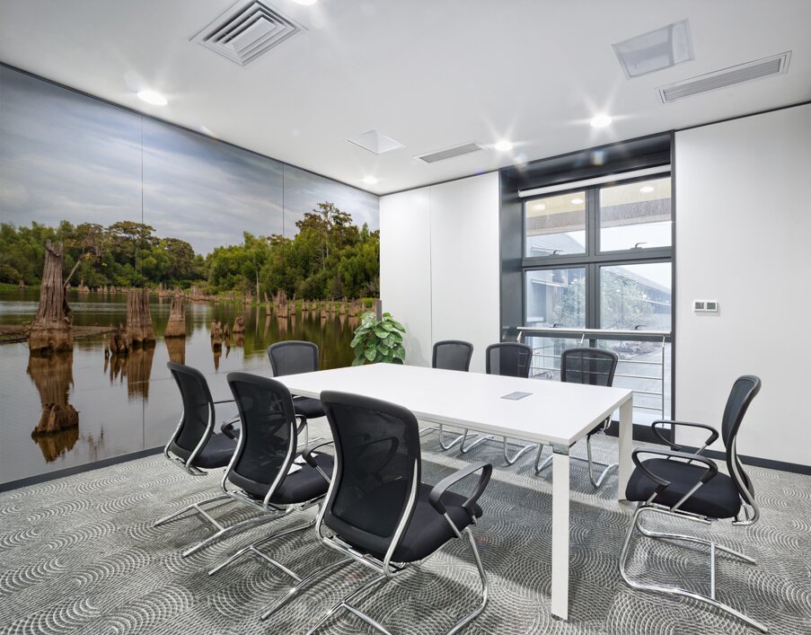 Stumps of bald cypress trees rise out of water in Atchafalaya ba Wall Printing
