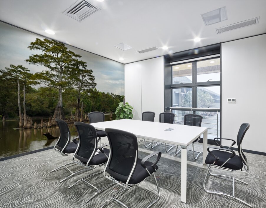 Large bald cypress trees rise out of water in Atchafalaya basin Wall Printing