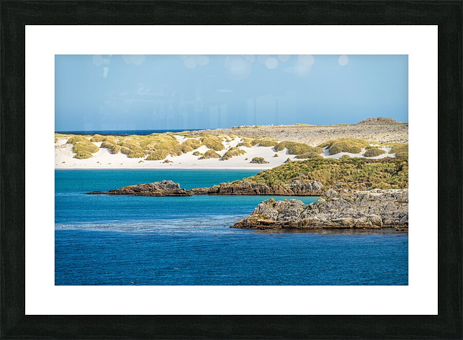 White sandy beaches near Port Stanley on Falkland Islands on sun  Impression encadrée