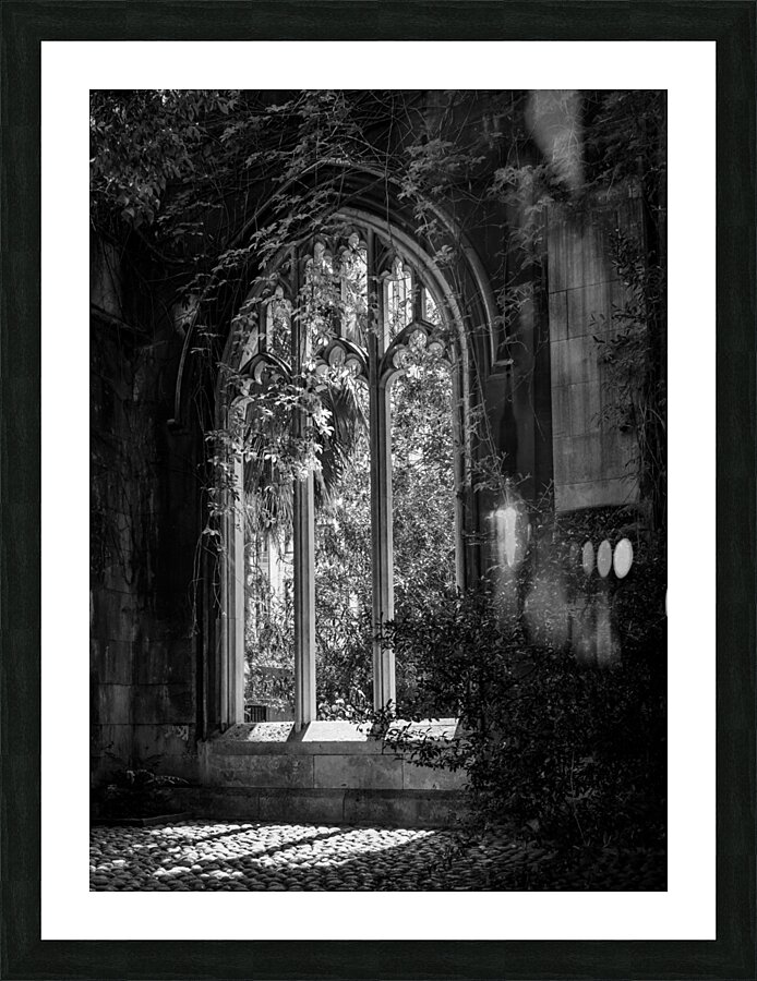 Creeping plants over the empty windows of St Dunstan church  Framed Print Print