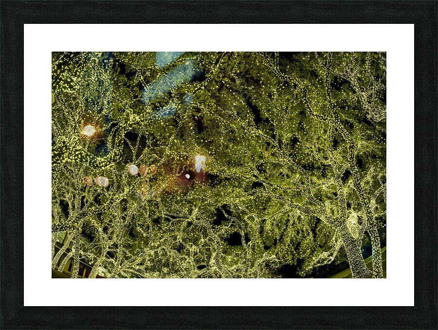 Holiday lights spectacular in trees of Johnson City Texas Picture Frame print