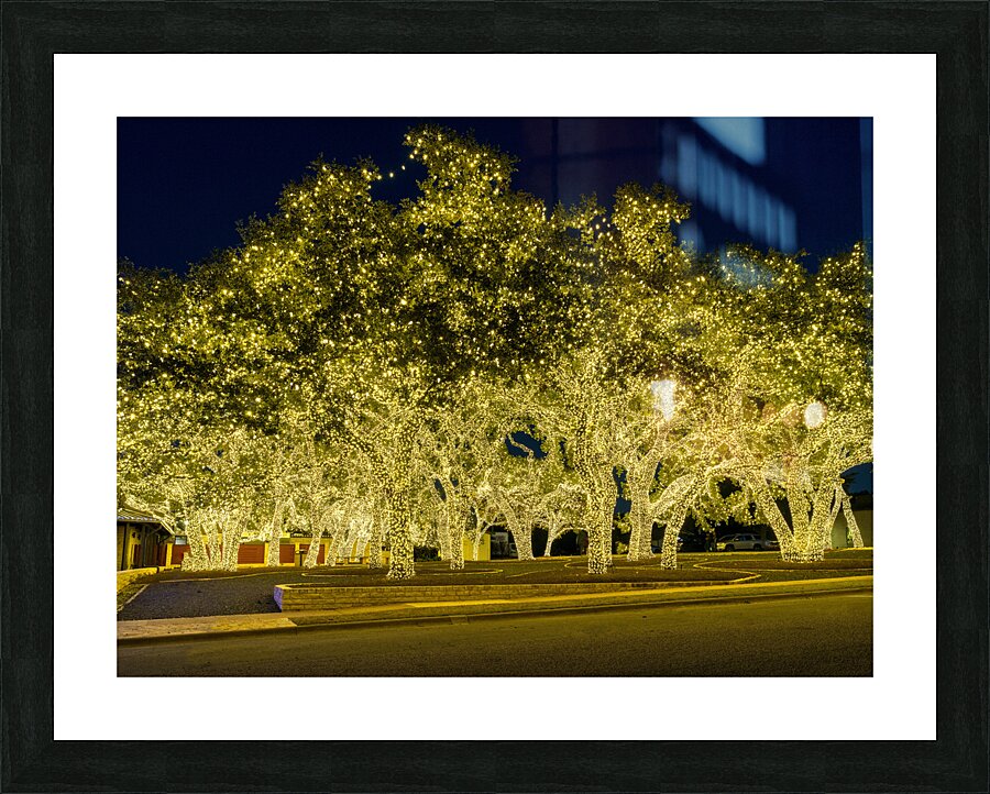 Holiday lights spectacular in Johnson City Texas Picture Frame print