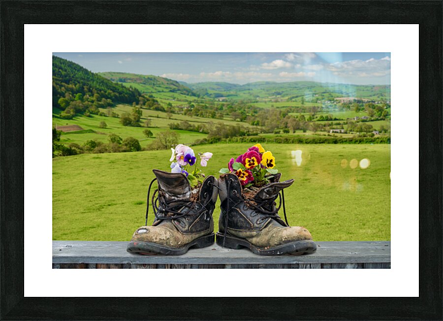Pair of old hiking boots turned into plant pots with hill walkin Picture Frame print