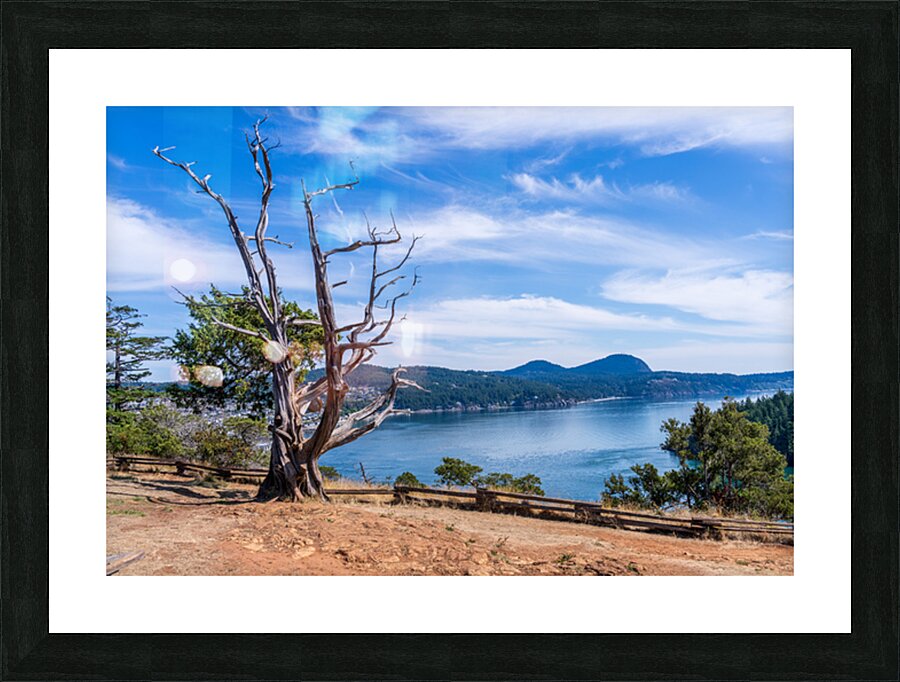 View from the Washington Park overlook over the town of Anacorte Picture Frame print