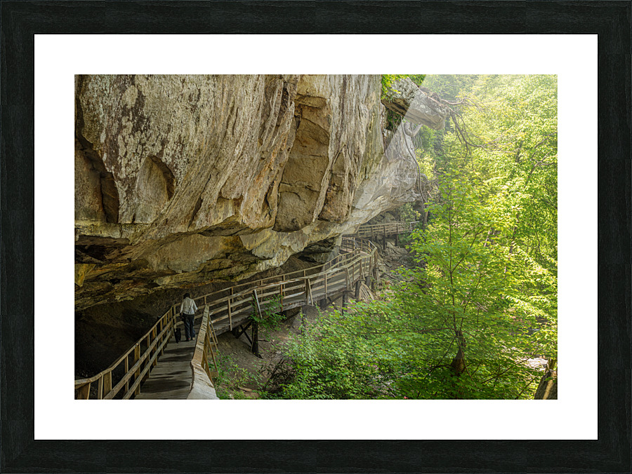 Boardwalk in Audra State Park near Buckhannon in West Virginia Picture Frame print