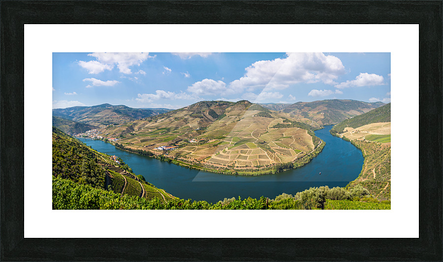 Vineyards line the Douro valley in Portugal Picture Frame print