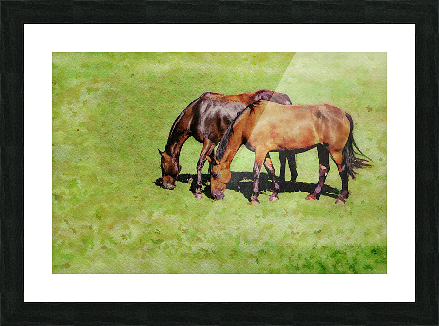 Digital water color of two brown horses Picture Frame print