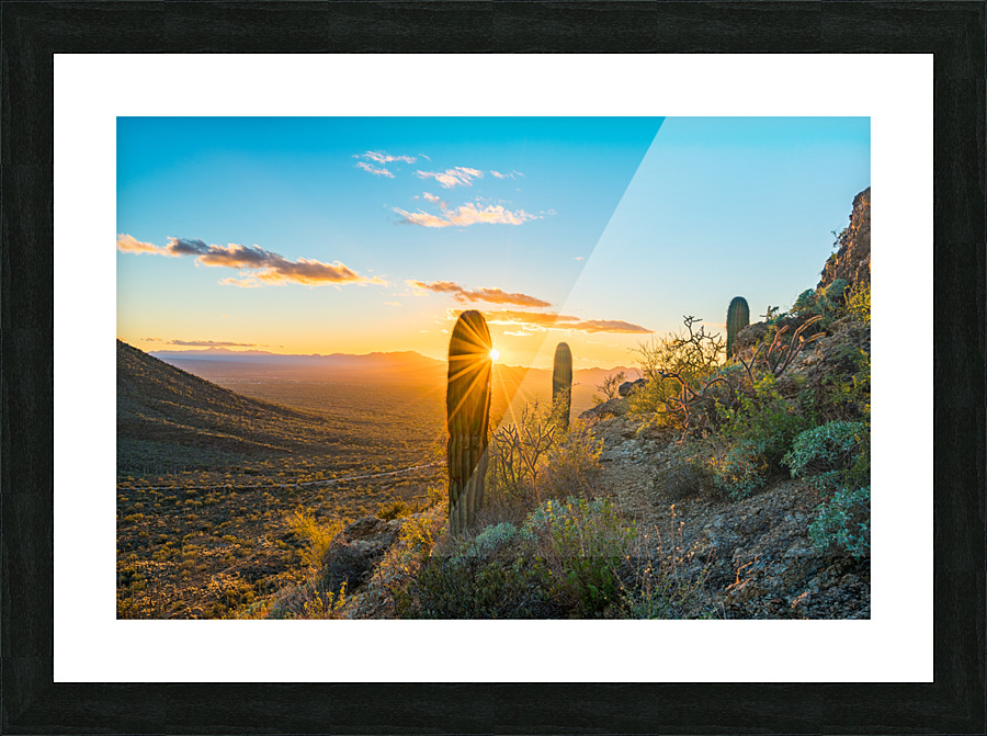Sunset in Saguaro National Park West Frame print