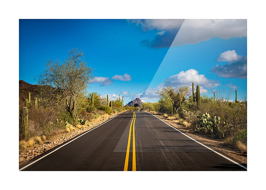 Road and cactus in Saguaro National Park Picture Frame print