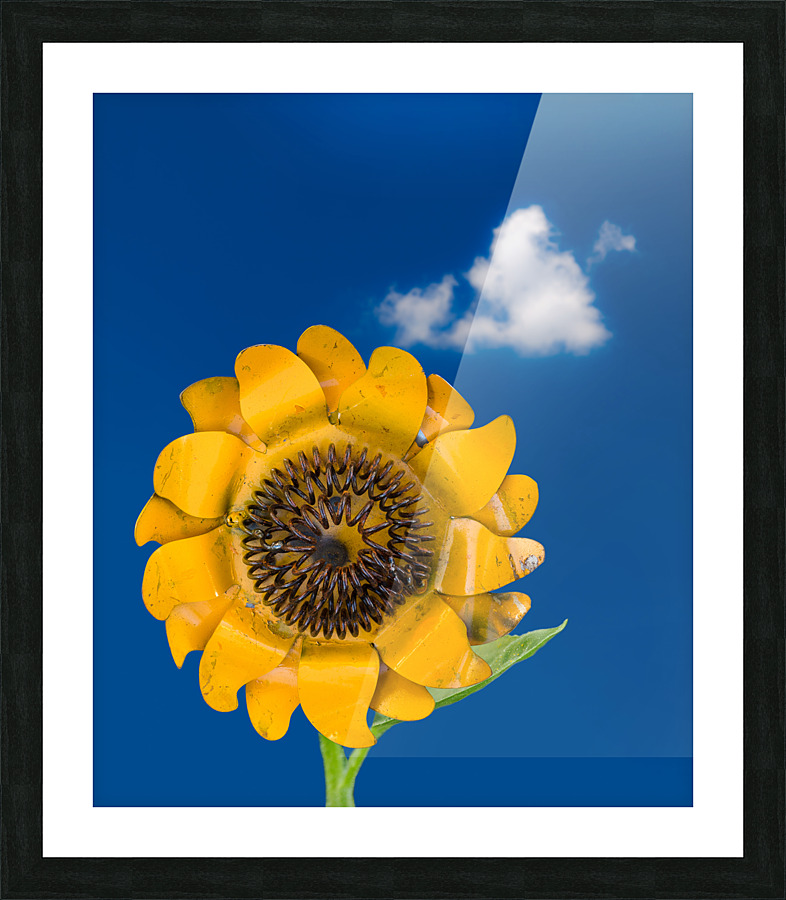 Metal sunflower against blue sky  Impression encadrée