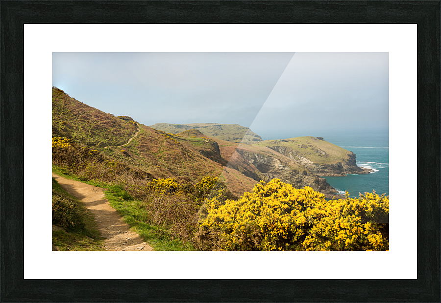 South West coast path near Tintagel Cornwall Picture Frame print