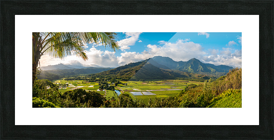 Hanalei valley from Princeville overlook Kauai  Impression encadrée