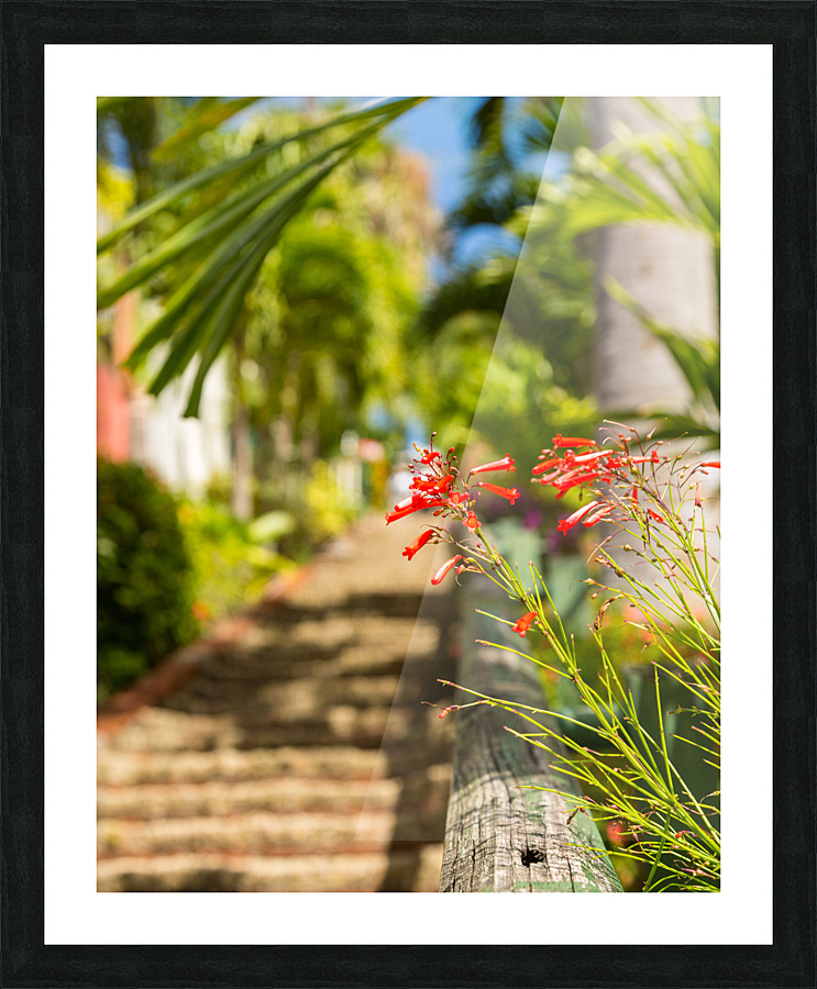 Famous 99 steps Charlotte Amalie  Impression encadrée