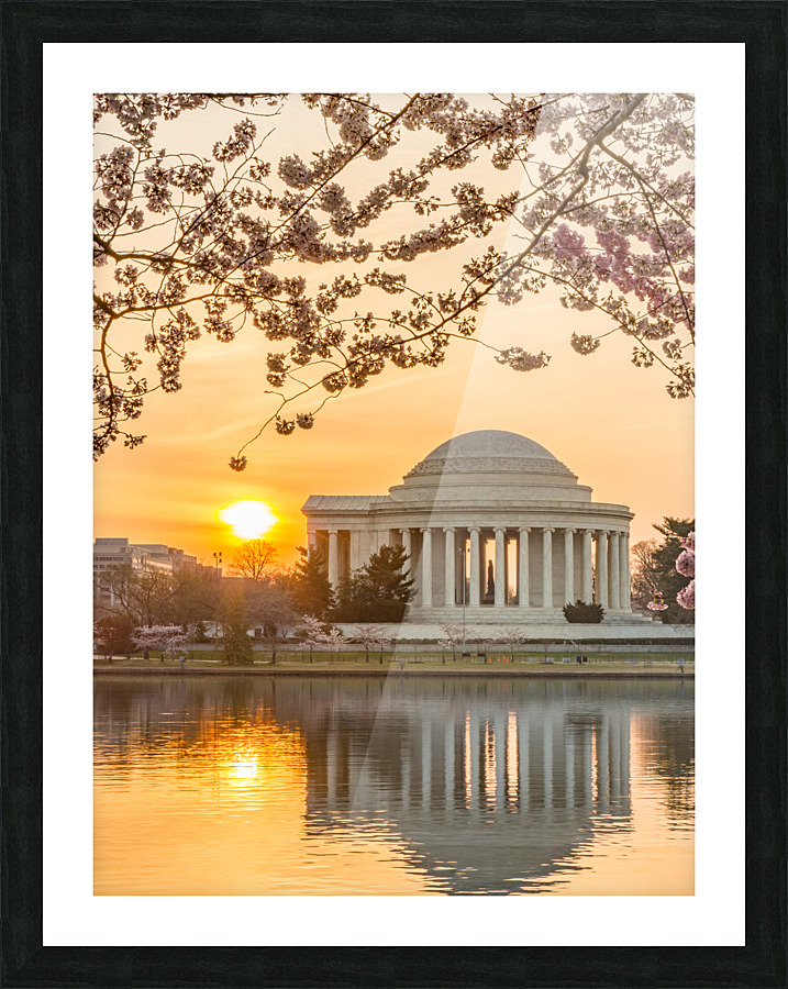 Cherry Blossom and Jefferson Memorial at sunrise  Impression encadrée