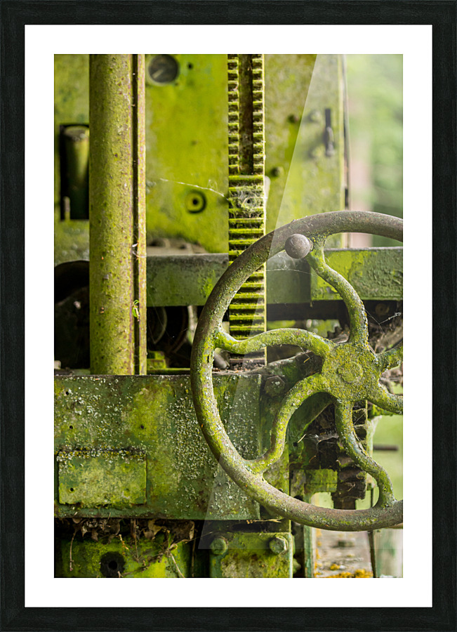 Moss covered farm machinery with handle Picture Frame print