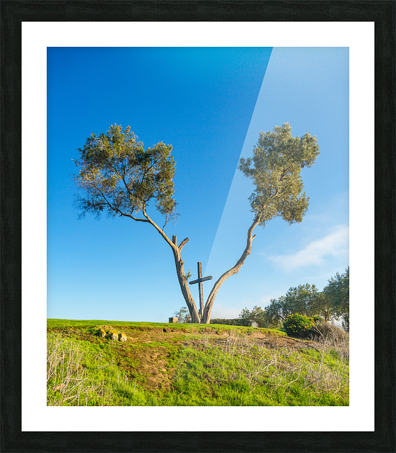 Serra Cross in Ventura California between trees  Framed Print Print