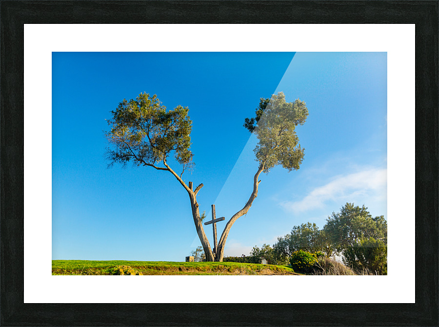 Serra Cross in Ventura California between trees  Framed Print Print