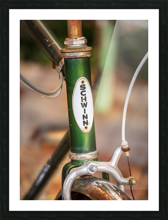 Memories of youth with Schwinn bike frame Picture Frame print
