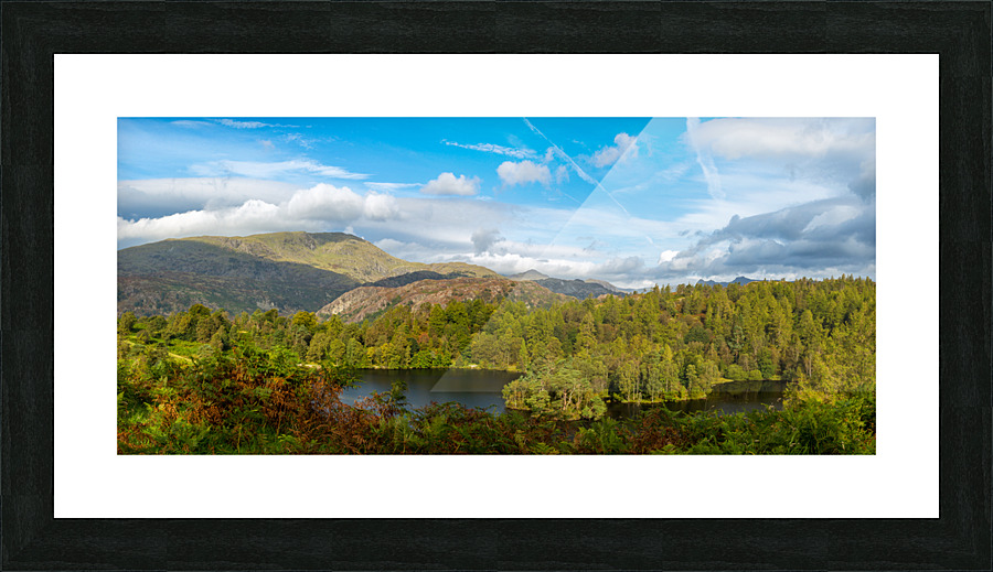 Panorama of Tarn Hows in English Lake District  Framed Print Print