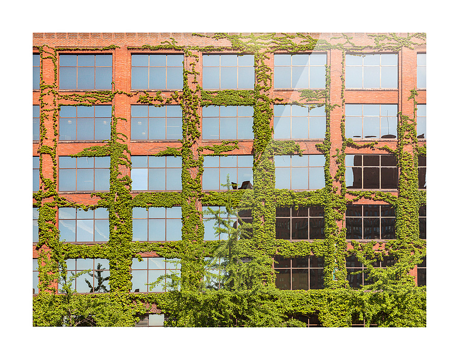 Modern Chicago office covered with plants Picture Frame print