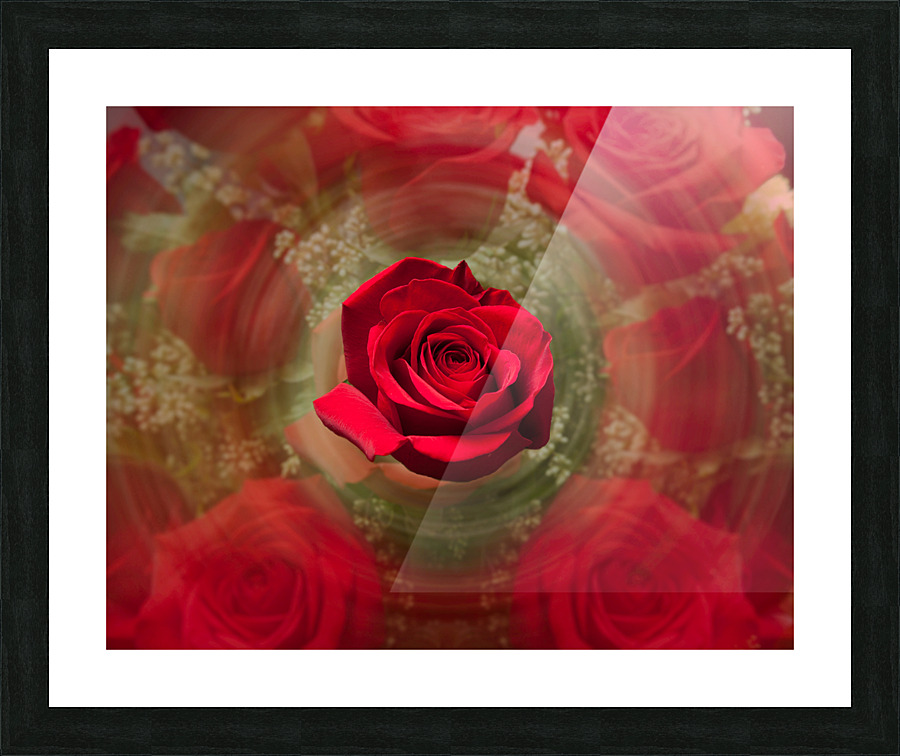 Close up of red rose bouquet with roses  Framed Print Print