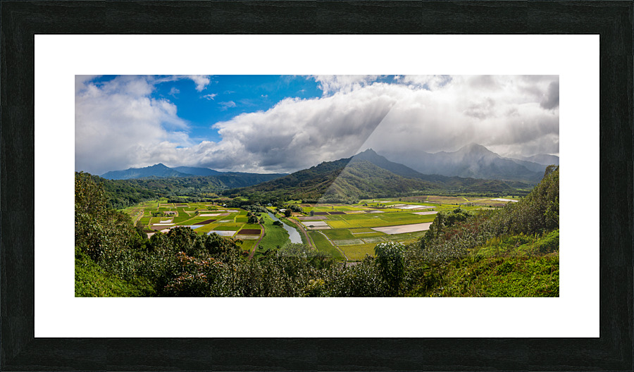 Panorama of Hanalei Valley on Kauai  Impression encadrée
