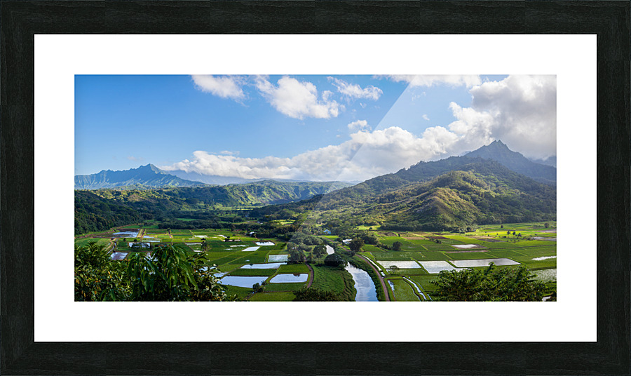 Hanalei valley from Princeville Kauai Picture Frame print