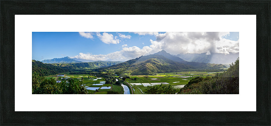 Hanalei valley from Princeville Kauai Picture Frame print