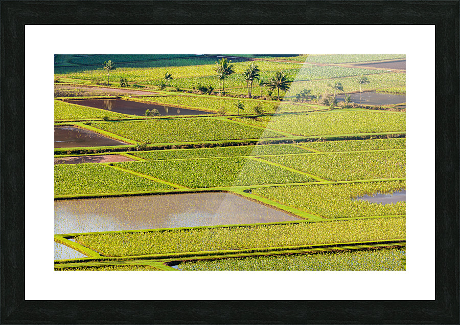 Hanalei Valley in Kauai Picture Frame print
