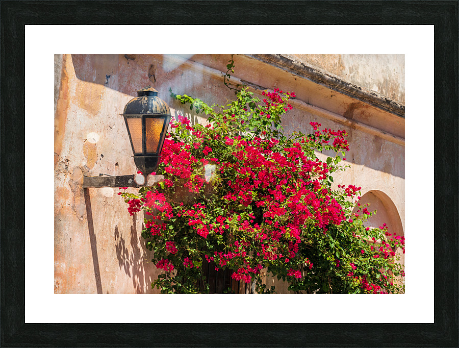 Street lamp in Unesco historical town of Colonia del Sacramento  Framed Print Print