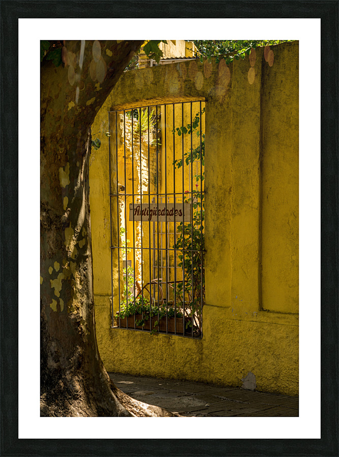 Window to courtyard of antique shop in Colonia del Sacramento  Framed Print Print