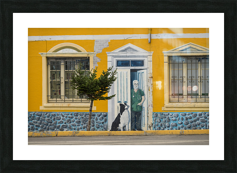 Wall mural on building in Punta Arenas in Chile  Framed Print Print