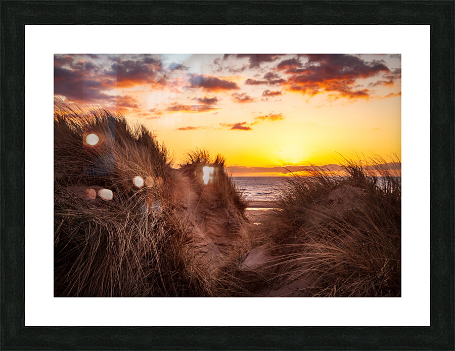 Sunset over Formby Beach through sand dunes  Framed Print Print
