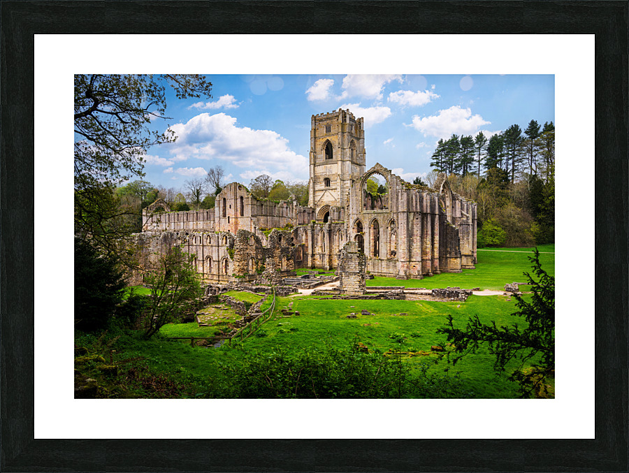 Springtime at Fountains Abbey ruins in Yorkshire England  Framed Print Print