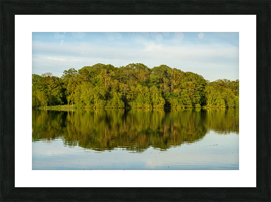 View across the Mere to a reflection of distant trees in Ellesme  Framed Print Print