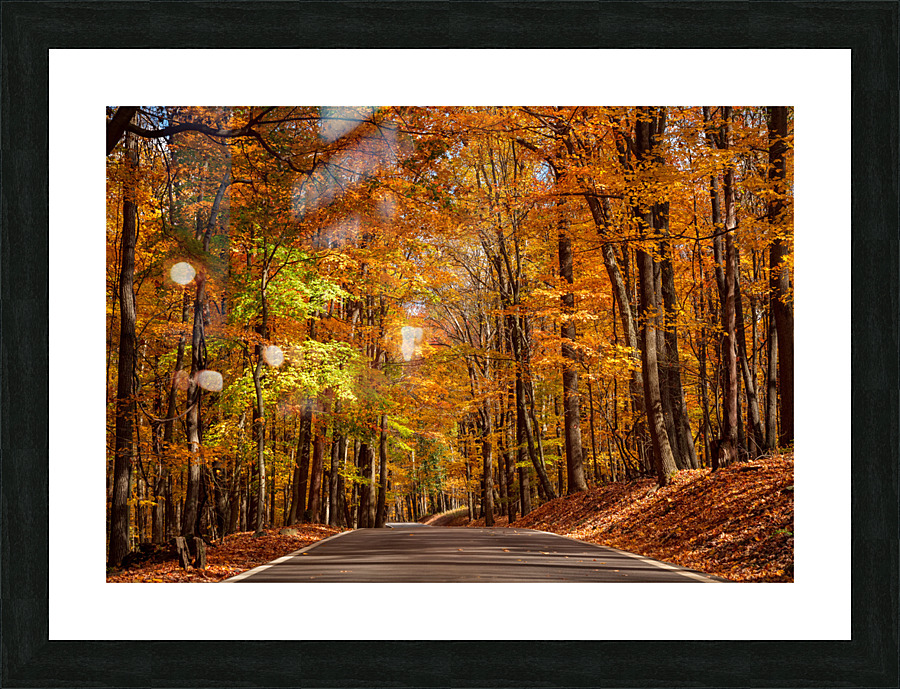 Road leading to Coopers Rock state park  Framed Print Print