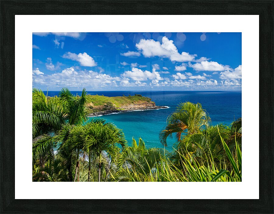 Mokolea point and Kahili beach framed by palm trees Kauai  Impression encadrée